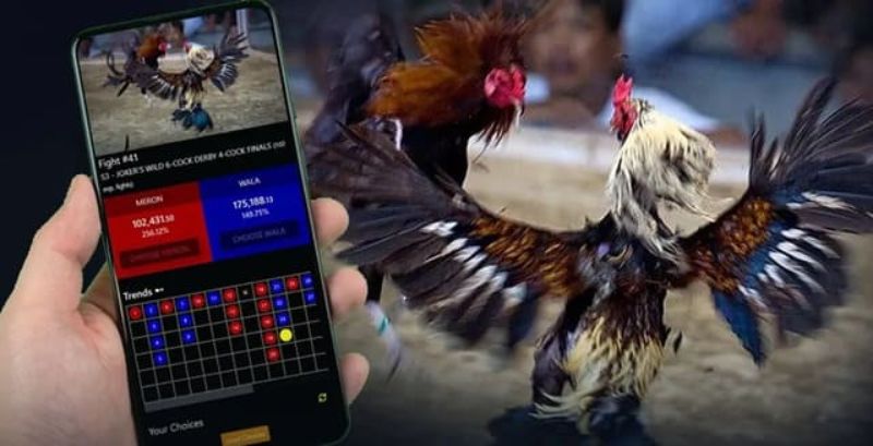 Đá gà 523bet có ưu điểm nổi bật gì?