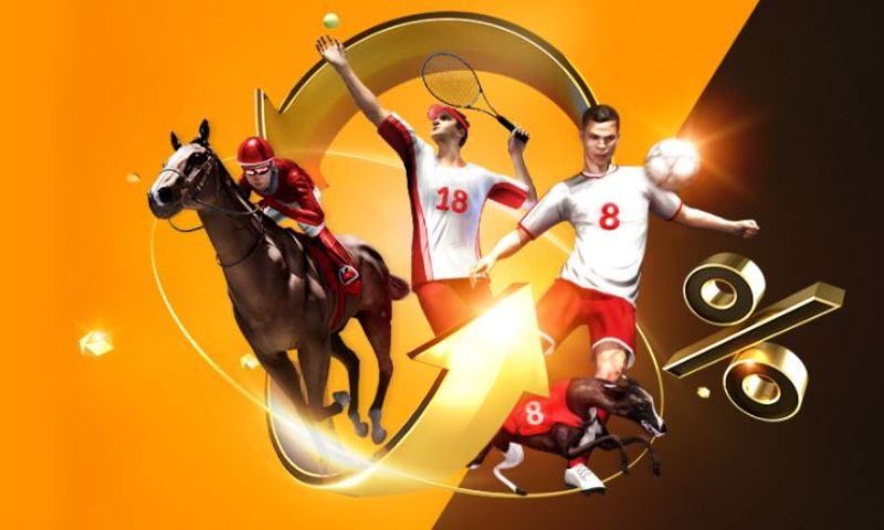 Đa dạng loại hình cá cược thể thao tại 523bet